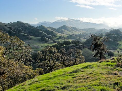 11. Mt. Diablo Walnut Creek California, California Attractions, California Hikes, Contra Costa County, Walnut Creek, Sequoia National Park, California Dreamin', California Dreaming, Back To Nature