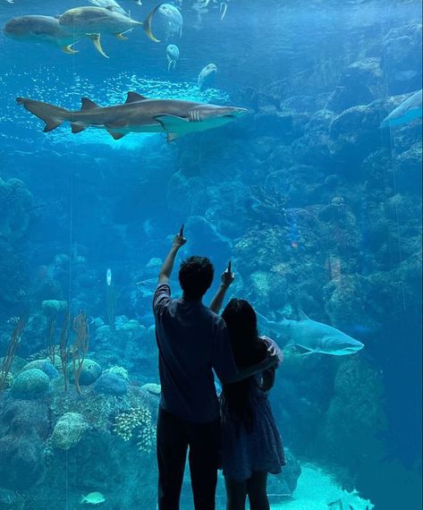 Life Is A Simulation, Aquarium Pictures, Dream Dates, Gift Basket Ideas For Couples, Creepy Things, Cute Date Ideas, Dream Date, 사진 촬영 포즈, Universal Language