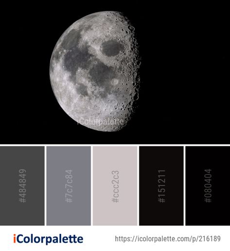 38 Astronomy Color Palette ideas in 2021 | iColorpalette Moon Colour Palette, Moonlight Color Palette, Moon Pallete, Planet Color Palette, Monochrome Aesthetic Color, Futuristic Color Palette, Moon Color Palette, Moon Moodboard, Best Color Palettes