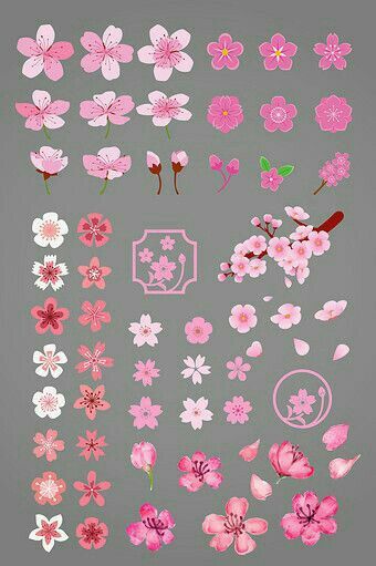 Cherry Blossom Drawing, Seni Mural, Cherry Blossom Painting, Cherry Blossom Art, Kunst Inspiration, Petal Flower, Blossoms Art, Flower Doodles, Graphic Elements