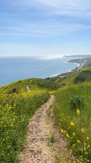 Los Angeles Hike Aesthetic, Hiking Aesthetic California, Los Angeles Hikes, Los Angeles Hiking, Malibu Hikes, Los Angeles Bucket List, Point Dume Malibu, La Hikes, Malibu Rising