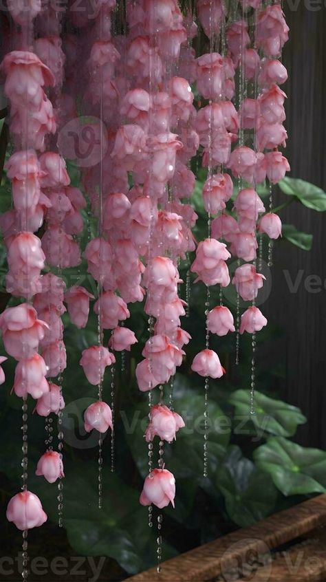 A close up of a beautiful lavender bulbous begonia flowers with raindrops Flowers With Raindrops, Begonia Flowers, Rain Drops, Vector Icons, Free Stock Photos, Close Up, Royalty Free Stock Photos, Lavender, Royalty