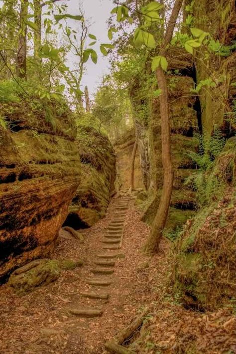 Dismals Canyon: Off-the-Beaten-Path in Alabama Dismals Canyon, Canadian Hemlock, Alabama Travel, Texas Roadtrip, Rainbow Falls, Wooden Bridge, Hiding Places, Creatures Of The Night, Summer Trip