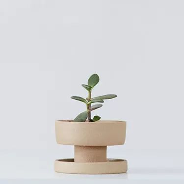 Search No More: 16 Planters with Drainage, from Bold to Minimal Japanese Plant Pot, Clay Plant Pots, Blue Planter, Striped Vase, Clay Planters, Pot Ideas, Handmade Plant, Concrete Pots, Natural Clay