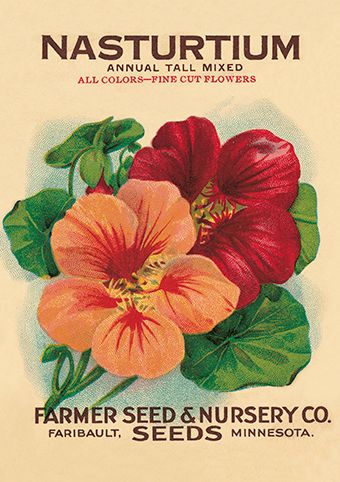 'Nasturtium' from the vintage Seed Packet 'Myrtles's Garden' collection (C521) * Garden Seeds Packets, Vintage Seed Packet, Emily Sutton, Mark Hearld, Angie Lewin, Vintage Seed Packets, Flower Seeds Packets, Seed Box, Art Greeting Cards