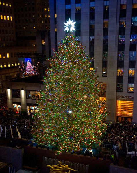 TODAY on Twitter: "The beauty of the Rockefeller Center Christmas Tree lifts our spirits this morning. https://t.co/AOMZ9vELcU" Rockafella Center Christmas, Rockefeller Center Christmas Tree, Rockefeller Center Christmas, Miracle On 34th Street, Nyc Christmas, Holiday Icon, Radio City Music Hall, Rockefeller Center, Christmas Feeling