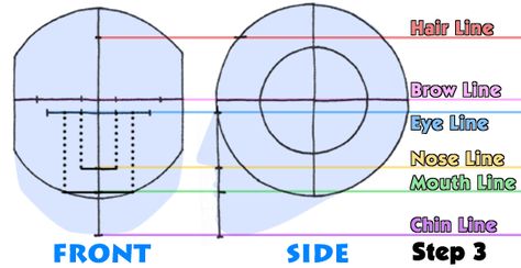 Step_3 How To Draw Porpotion Face, Loomis Method Head Step By Step, Metodo Loomis, Draw Lesson, Foundation Drawing, Head Proportions, Draw Head, Loomis Method, Facial Proportions