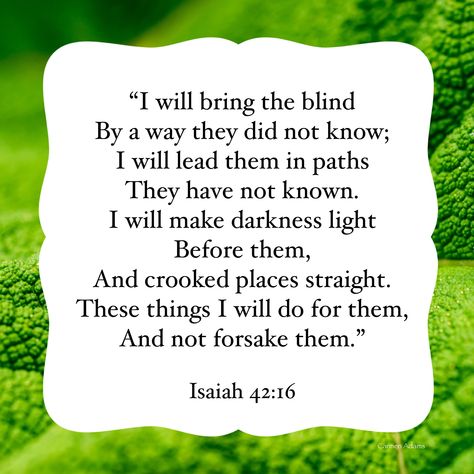 Isaiah 42:16  “I will bring the blind by a way they did not know...”  #Bible Isaiah 42 16, Isaiah 42, Bible Verse Posters, Beautiful Bible Verses, Inspirational Scripture, Prayer Verses, Lovely Quote, Bible Words, Scripture Quotes Bible