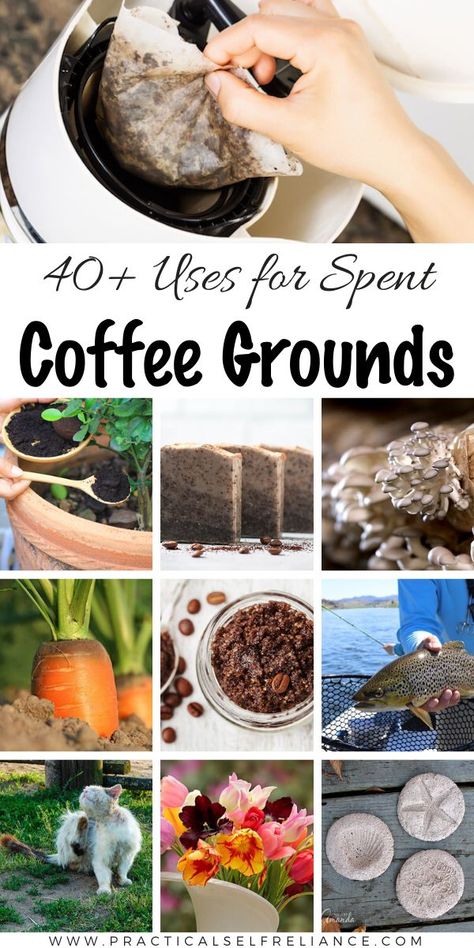 Don’t just dump those used coffee grounds in the trash!  There are so many incredible uses for coffee grounds in the garden, around the house and in the kitchen. Used Coffee Grounds, Landscape Gardening, Uses For Coffee Grounds, Coffee Grinds, Survival Gardening, Meteor Garden 2018, Landscape Garden, Planting Herbs, Gardening For Beginners