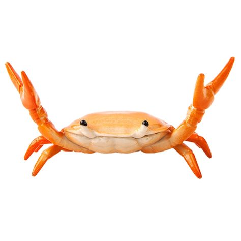 PRICES MAY VARY. This crab pen holder has a cute crab shape and can be used to decorate your desk while helping you hold your pencils. What this crab pen holder can offer you is that it has bright colors and vivid details that make it look like a real little crab, which also makes it an interesting toy and ornament. Made of plastic, this product is durable and eco-friendly. The length of the product is 5cm, the width is 4cm, and the height is 3.5cm. It is suitable for holding your pencil and oth Pencil Holders, Pen Holder, Pen Holders, Animal Design, Weight Lifting, My Images, Crab, Bright Colors, In The Heights