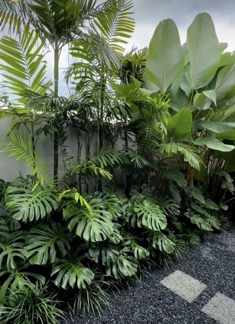 Using symmetry in your planting design can create a balanced and harmonious look. Tropical Yard Landscape, Tropical Garden Pool, Outdoor Tropical Patio Ideas, Tropical Garden Design Small Spaces, Tropical Landscape Ideas, Patio Greenery, Tropical Outdoor Patio, Tropical Front Yard Landscaping, Bright Boho Living Room