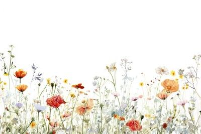 Vintage Aesthetic Decor, Wildflower Border, Wildflower Theme, Wildflower Pattern, Wildflower Field, Delicate Watercolor, Aesthetic Decor, Download Free Images, Dream Decor