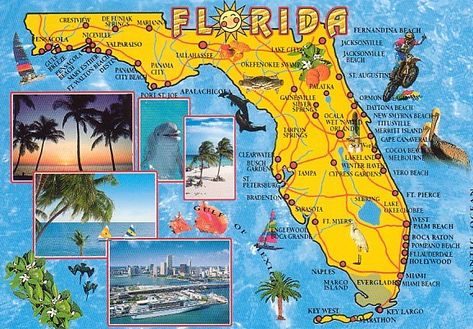 Fun ways to learn about Florida for kids - Suggested books about Florida (Fiction and Non-Fiction) and fun Florida themed crafts to make the time until the trip go faster. Disney World Map, Florida Attractions, 4th Grade Social Studies, Florida City, Map Of Florida, Tourist Map, Old Florida, Travel Brochure, Vero Beach