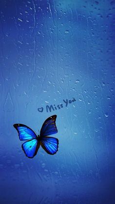 Miss Mom, Missing My Son, Miss My Mom, Miss You Dad, Birthday In Heaven, Miss You Mom, Missing You Quotes, I Miss U, My Beautiful Daughter