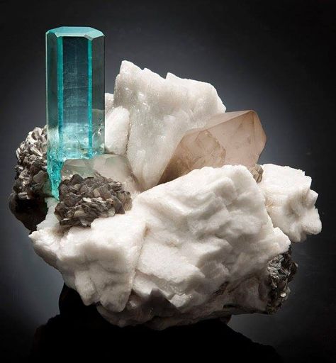 Aquamarine on matrix with light Smoky Quartz from Afghanistan Dreamscape Collage, Rock And Minerals, Minerals Crystals Rocks, Rock Minerals, Fine Minerals, Decorating Ideas For The Home, Beautiful Rocks, Aquamarine Stone, Mineral Stone