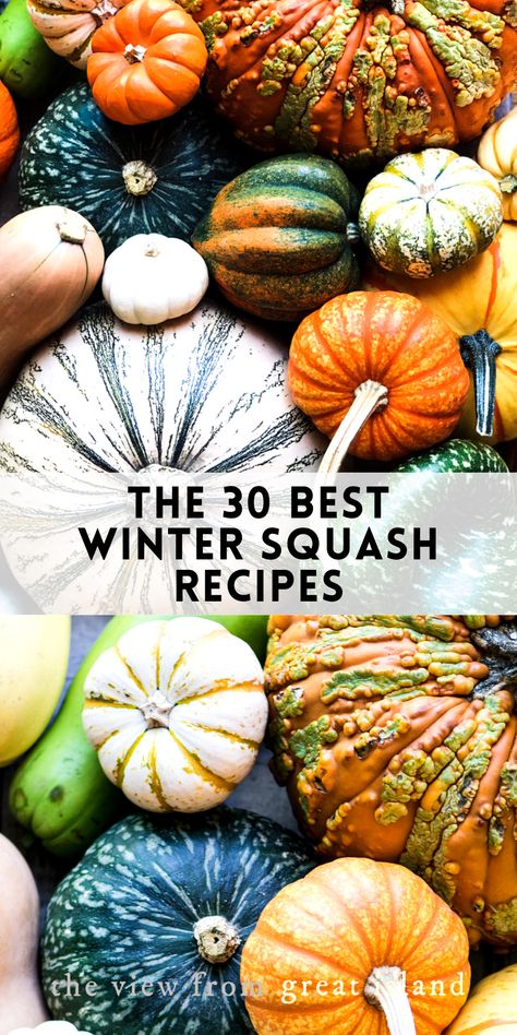 Acorn Butternut Squash Recipes, Squash Pumpkin Recipes, Whole Squash Recipes, Squash And Pumpkin Recipes, Baked Winter Squash Recipes, Onion Squash Recipes, Holiday Squash Recipes, Recipes With Winter Squash, Pumpkin And Squash Recipes