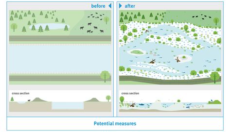 Estuary Ecosystem, River Restoration, Rendering Reference, Landscape Details, Landform, Urban Landscape Design, North Rhine Westphalia, Water Management, Water Tower