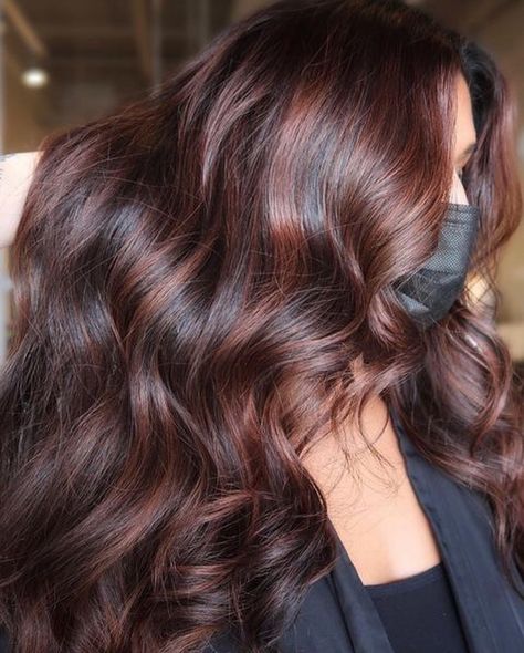 Brown Hair With Red Babylights, Red Undertone Hair Brown Highlights, Red Babylights On Brown Hair, Chocolate Red Hair With Highlights, Reddish Brown Hair Balayage, Dimensional Red Brown Hair, Red Babylights On Dark Hair, Red Glaze On Brown Hair, Dark Brown Hair With Auburn