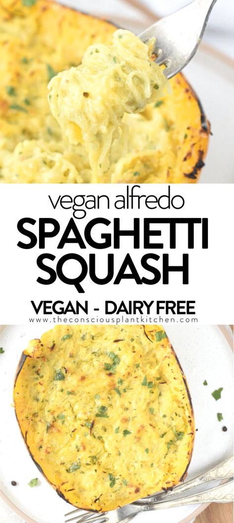 Spaghetti Squash Recipes Plant Based, Vegan Butternut Squash Alfredo, Gluten And Dairy Free Spaghetti Squash Recipes, Gf Spaghetti Squash Recipes, Tofu And Spaghetti Squash, Vegan Spaghetti Squash Recipes Easy, Non Dairy Spaghetti Squash Recipes, Wfpb Spaghetti Squash Recipes, Vegan Spaghetti Squash Recipes Healthy