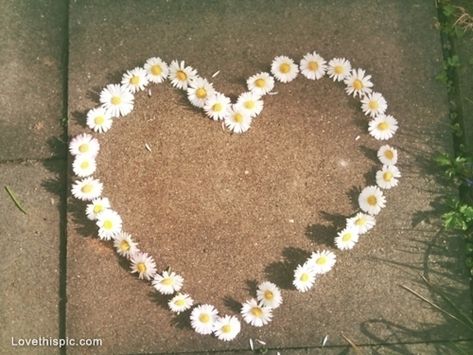 Heart made of daisies Daisy Heart, Tumblr Quality, Mother Love, Daisy Love, Ghost Hunters, No Rain, Bohol, The Fault In Our Stars, Soft Grunge