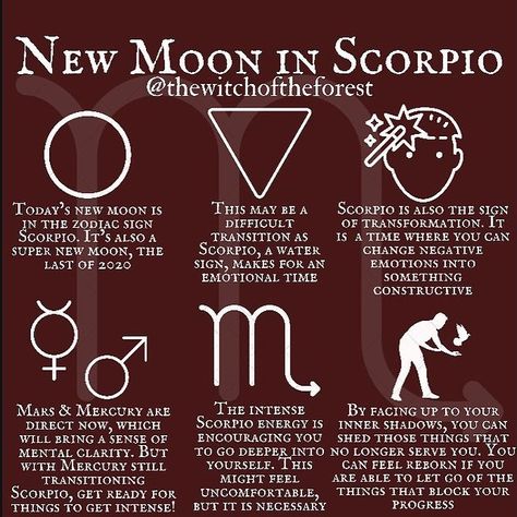 Noemi Cogo (@noemi_c84) • Foto e video di Instagram New Moon Scorpio, New Moon Blessings, Scorpio Images, Scorpio New Moon, Moon Phases Meaning, Super New Moon, New Moon In Scorpio, Moon In Scorpio, Scorpio Zodiac Facts