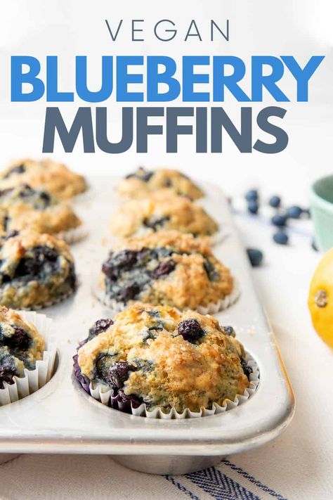 Start your day off right with these tender, fluffy, and healthy Vegan Blueberry Muffins! Stash them in the freezer for an easy grab-and-go breakfast. Vegan Breakfast Muffins, Chia Muffins, Aip Breakfast, Vegan Blueberry Muffins, Muffins Vegan, Keto Baking, Vegan Breakfasts, Vegan Muffins, Sans Gluten Sans Lactose