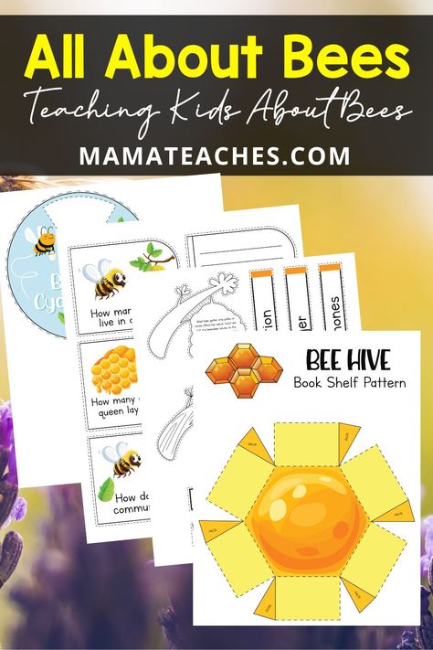 World Bee Day Activities For Kids, Bee Facts For Kids, Learning About Bees, Diy Bees, All About Bees, Elf Classroom, Bees For Kids, Environmental Activities, Nature Club