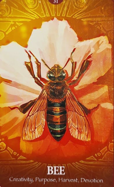 Bee - The Secret Language of Animals Pollinating Flowers, Spirit Animal Totem, Wild Bees, Sloth Stuffed Animal, Divination Cards, Make A Character, Animal Spirit Guides, Animal Guides, Consciousness Art