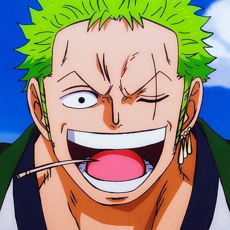 Golden Age Of Piracy, Zoro Roronoa, One Piece World, Anime Drawing Books, One Piece Wallpaper Iphone, Anime Store, Zoro One Piece, One Piece Pictures, Roronoa Zoro