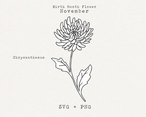 Chrysanthemum Flower Drawing, November Birth Month Flower, Chrysanthemum Drawing, Flower Cricut, Feather Clip Art, November Birth Flower, Chrysanthemum Tattoo, Rose Tattoos For Women, Floral Line Art