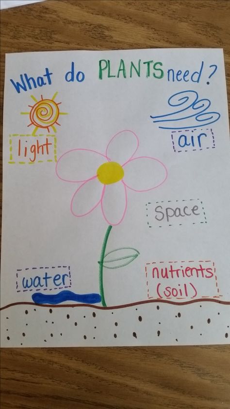 Plant needs anchor chart Prek Planting Activities, Plant Growing Chart, Flower Anchor Chart, Plant Prek Activities, Plant Needs Anchor Chart, Plants And Flowers Crafts Preschool, Spring Charts For Preschool, Gardening Ideas For Preschool, Plant Study Preschool