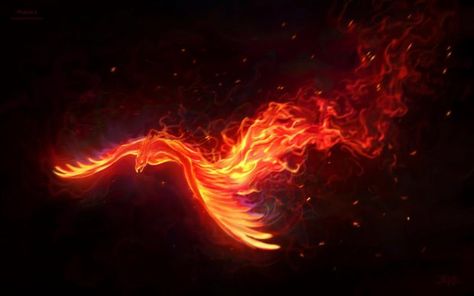 Phoenix Bird Desktop Background. Phoenix Wallpaper, Phoenix Artwork, Phoenix Images, Illustration Fantasy, Fanart Kpop, Bird Flying, Phoenix Art, Phoenix Rising, Phoenix Bird