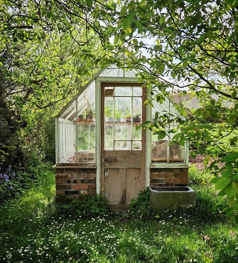 Tom Frost on Instagram: “Maybe this is the year I finally finish the greenhouse? Place your bets! #garden #greenhouse #ibuiltthis” Oak Greenhouse, Small Greenhouse Aesthetic, Swedish Greenhouse, Greenhouse Decor, Cottage Greenhouse, Greenhouse Glass, Functional Garden, Place Your Bets, Space Garden