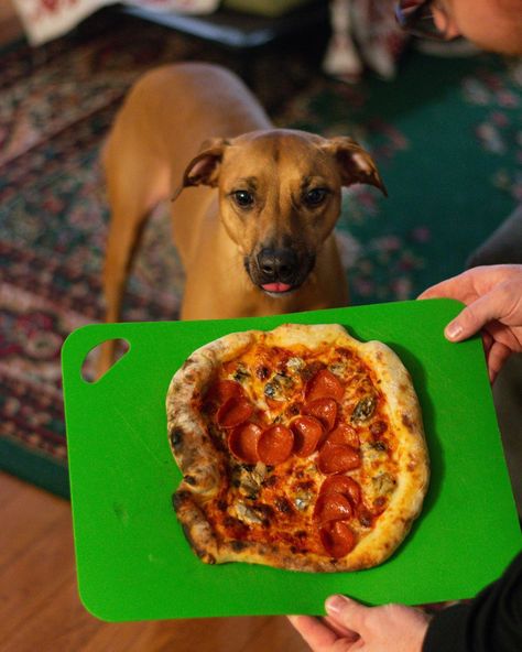 Dog Pizza, Birthday Pizza, Baked Cakes, Pizza Dough Recipe, Cooked Carrots, Dog Nutrition, Carrot Recipes, Pizza Recipes Dough, Pizza Night