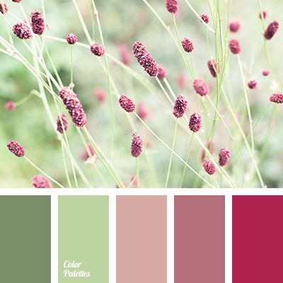 In Color Balance, Green Color Combinations, Palette Design, Color Schemes Colour Palettes, Bedroom Color Schemes, Color Palate, Design Seeds, Color Balance, Trik Fotografi