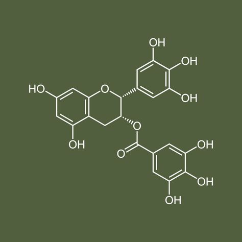 Chemistry Green Aesthetic, Green Matcha Aesthetic, Computer Screensaver, Green Chemistry, Green Teas, Pretty Wallpapers Backgrounds, Wallpapers Backgrounds, Green Aesthetic, Pretty Wallpapers