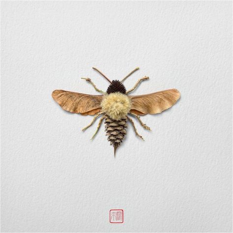 30 Delicate Animal Portraits Created From Things Found In Nature By Raku Inoue Raku Inoue, Høstaktiviteter For Barn, Dekoratívne Vence, Deco Nature, Cones Crafts, Idee Cosplay, Pine Cone Crafts, Insect Art, Pressed Flower Art