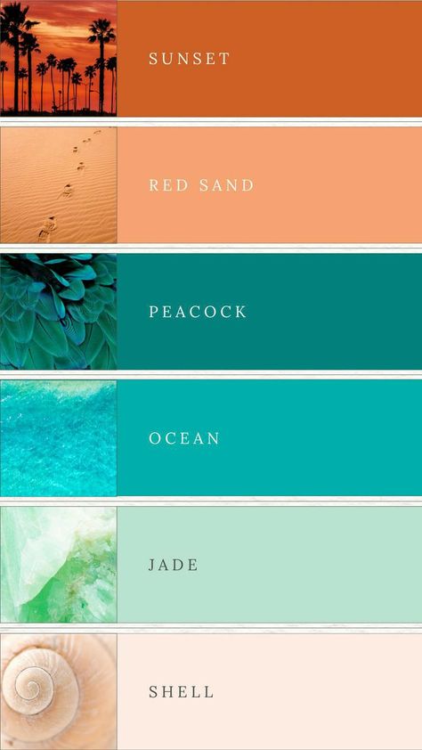 Turquoise Orange Aesthetic, Turquoise Terracotta Color Schemes, Teal Colors Palette, Tropical Color Pallette, Colours That Go With Turquoise, Beach Summer Color Palette, August Color Scheme, Colors That Go Good Together, Summer Garden Color Palette