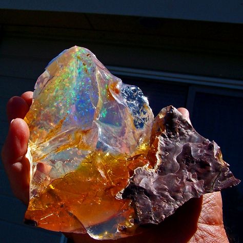 Outstanding Rough Opal From Oregon, US - Types of opal  photo: Amazing Geologist page on facebook  Opal  is a hydrated amorphous form of silica (SiO2·nH2O), Because of its  amorph... Gem Hunting, Visit Oregon, Jelly Opal, Fossil Hunting, Crystals Gems, Rock Hunting, Rough Gems, Geology Rocks, Types Of Opals