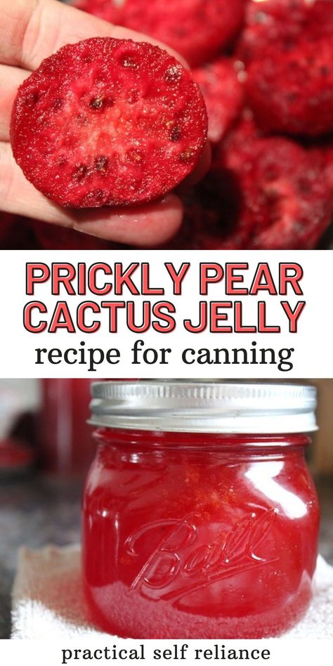 Jelly Recipes For Canning, Cactus Jelly, Pear Jelly Recipes, Prickly Pear Jelly, Prickly Pear Recipes, Fruit Jelly Recipe, Pear Jelly, Cactus Recipe, Recipes For Canning