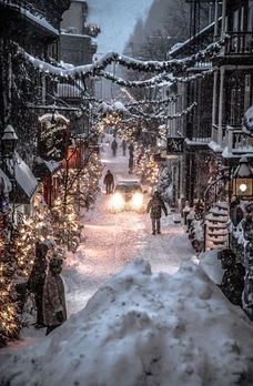 Holiday Celebration Inspo - Formal Approach Christmas Scenery, Winter Mood, Christmas Feeling, Christmas Wonderland, Winter Scenery, Winter Pictures, Christmas Scenes, Winter Wonder, Winter Aesthetic