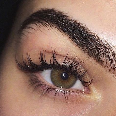 Eyelashes And Eyebrows, Brown Eye, Beauty Eyes, Long Lashes, Her Eyes, Eyebrows, Eyelashes, We Heart It, Lashes