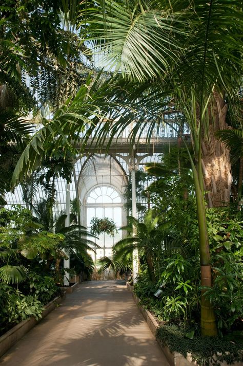 Kew Gardens London: When to go and what to see at the botanical gardens | House & Garden Garden Atrium, Greenhouse Conservatory, Conservatory Sunroom, Atrium Garden, Palm House, Rainwater Harvesting, Plants Garden, Plant Aesthetic, Kew Gardens