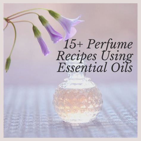 Perfumes can be classic gift items because they are customizable. However, finding that one particular scent that you want can be more difficult than it appears. How To Make Homemade Perfume, Essential Oil Perfume Blends, Essential Oil Spray Recipes, Perfume Blends, Essential Oil Roller Bottle Recipes, Essential Oil Perfumes Recipes, Roller Blends, Homemade Perfume, Essential Oils For Babies