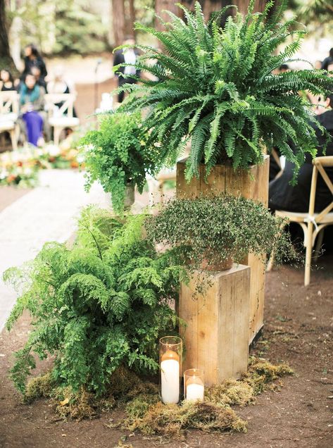 Enchanted Santa Lucia Preserve Forest Wedding in Carmel-By-The-Sea Santa Lucia Preserve, Wedding Altars, Green Color Schemes, Carmel By The Sea, Santa Lucia, Forest Wedding, Wedding Florals, Modern Rustic, Country Wedding