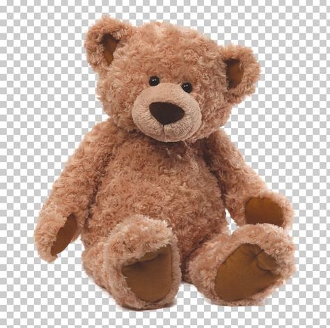 Teddy Bear Png Aesthetic, Bear Png Aesthetic, Teddy Bear Aesthetic, Png Decoration, Homework Inspiration, Png Teddy Bear, Teddy Bear Art, Png Bear, Teddy Bear Png