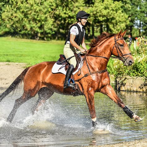 Horse Riding Cross Country, Cross Country Aesthetic Horse, Cross Country Equestrian, Eventing Horses Cross Country, Cross Country Horses, Cross Country Horse Riding, Horse Cross Country, Eventing Cross Country, Cross Country Jumps