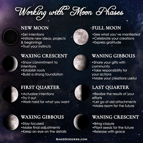 Sage Goddess on Instagram: “I love the New and Full Moon, but did you know you can work with Luna all month long? 🌙 ✨ ⠀⠀ ⠀ Working with moon magic is tapping into your…” Moon Phases Meaning, New Moon Full Moon, Masters Program, Moon Meaning, The Phases Of The Moon, Moon Reading, Moon Journal, New Moon Rituals, Moon Setting