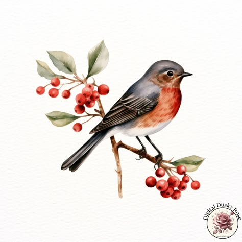 Watercolor Whimsical Winter Birds Clipart: Festive Birds on Branches with Berries for Holiday Crafts and Invitations https://digitalduskyrose.etsy.com/listing/1794530870 Add a touch of winter magic to your holiday projects with our Watercolor Whimsical Winter Birds Clipart! This beautiful collection features festive birds perched on delicate branches with berries, perfect for creating charming Christmas cards, holiday invitations, scrapbooking layouts, and cozy DIY decor. These high-resolutio... Watercolor Whimsical, Birds Clipart, Cozy Diy, Winter Birds, Bird Clipart, Winter Bird, Charming Christmas, Christmas Bird, Watercolor Ideas