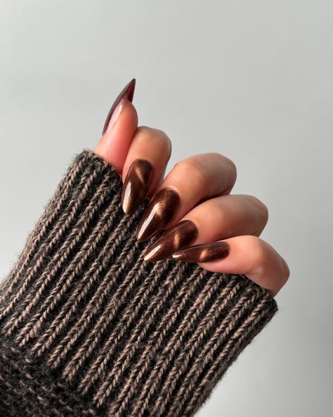 Lights Lacquer, Home for the Harvest 🧺 🐿️ Maple Street, a mahogany brown polish with a fine golden shimmer and magnetic finish • use code COLORNOOK to save on your purchase @lightslacquer • use code THECOLORNOOK to save on your purchase @nominal #lightslacquer #homefortheharvest #fallnails #fallnailcollection #nailpolishswatch #nailswatch #nailinspo #maplenails #brownnails #cateyenails #darknails #magneticnails magnetic cat eye brown maple nails golden shimmer Brown Tiger Eye Nails, Bronze Cateye Nails, Brown Reflective Glitter Nails, Fall Brown Cat Eye Nails, Brown On Brown Nails, Brown Cats Eyes Nails, Autumn Nails Cat Eye, Cat Eye Almond Nails Designs, Chocolate Cat Eye Nails